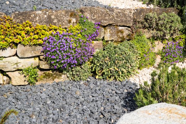 Landscaping Rocks Installation in Lakeville