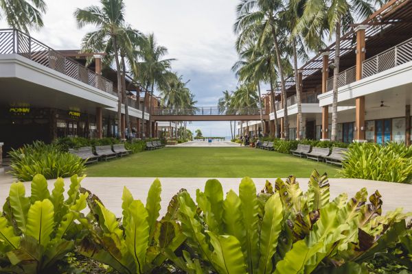 Commercial Lawn Renovation in Lakeville
