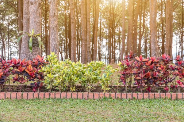Small Garden Landscaping in Lakeville