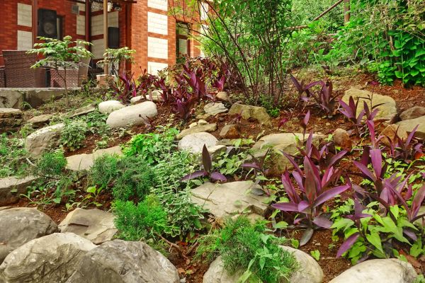 Rock Garden Landscaping in Lakeville