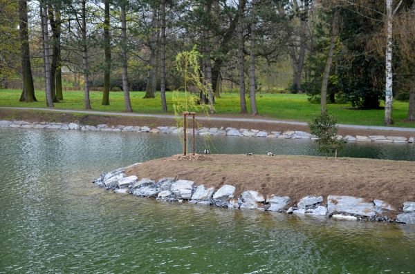 Pond Landscaping Service in Lakeville