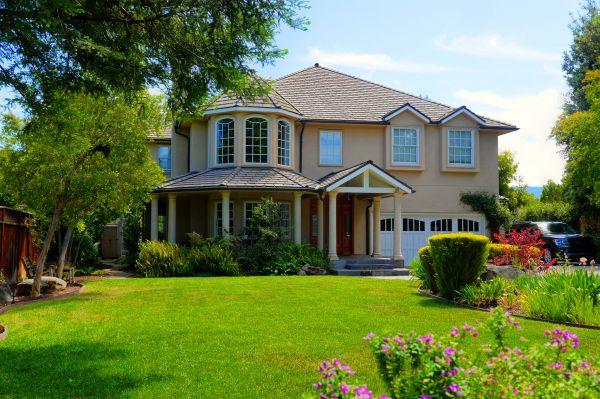 Large Yard Landscaping in Lakeville