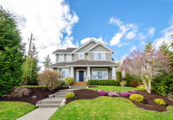 Landscaping Replacement in Lakeville