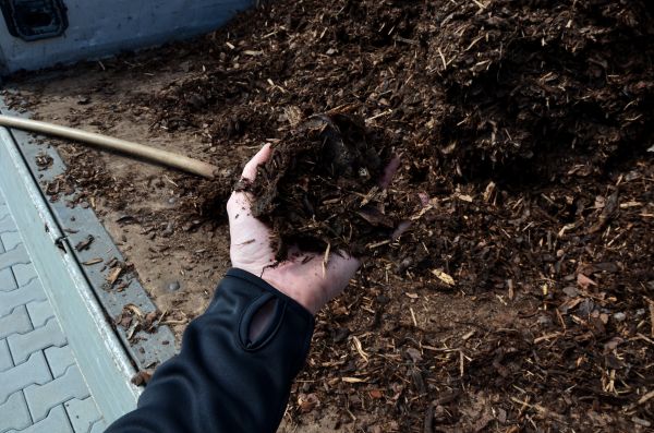 Condo Mulching in Lakeville