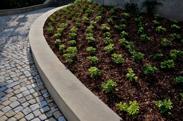 Commercial Mulching in Lakeville