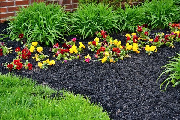 Apartment Mulching in Lakeville