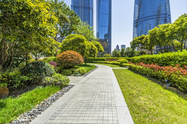 Commercial Landscaping in Lakeville